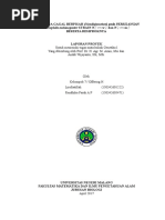 Download 4 NDJ by Shin Oriflame Malang SN346851081 doc pdf