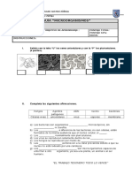 Prueba Biología - Microscopía - 7mo 2017