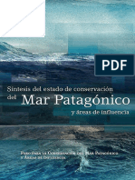sintesis-mar-patagonico.pdf