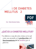 Taller de Diabetes Mellitus Por Paola Ng