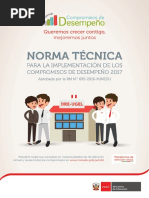 2017 Cdd Norma Tecnica Oficial