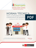 2017 CDD Norma Tecnica Oficial