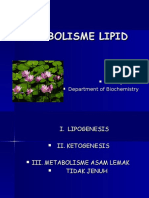 Metabolisme Lipid