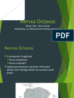 Nervus Octavus