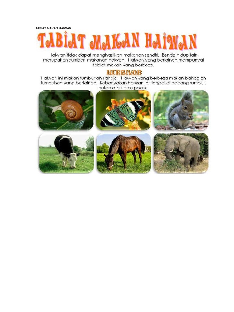 Cara Pemakanan Haiwan Pdf