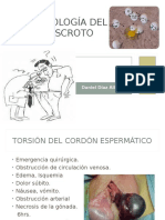 patologiadelescroto-121105231616-phpapp02