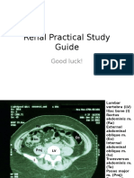 Renal Practical Study Guide