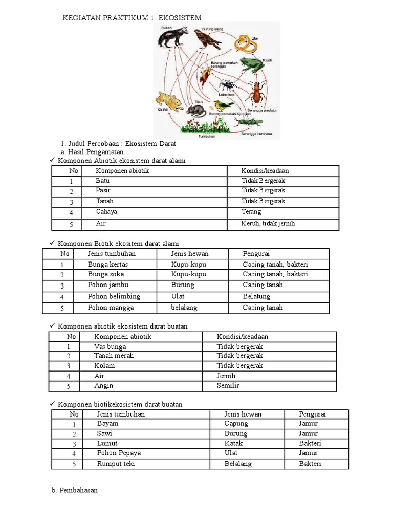 Contoh Gambar Komponen Abiotik Ekosistem Darat Alami Bagikan Contoh