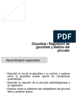 Clase °7 Glucolisis - Regulación de Glucólisis y Destino Del Piruvato