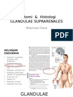 Idk Case 6- Anat Histo Kel Adrenal 