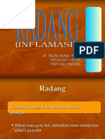 RADANG