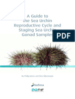 Guide To Sea Urchins Lowres