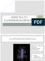 Infectia Cu Clostridium Difficile