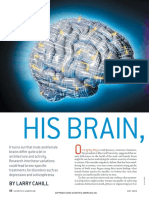 His Brain Her Brain PDF