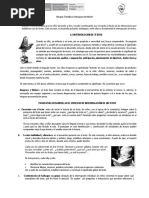 Separata Interrogación de Textos PDF