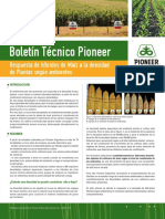 Boletin Pioneer 02