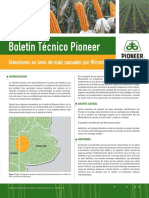 Boletin Pioneer 03