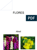 Examen Reconocimiento Flores PDF