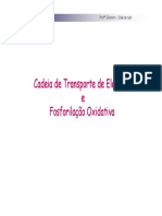 5-CadeiadeTransporteefosforilacao.pdf