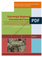 Estrategia Regional Forestal (1).pdf