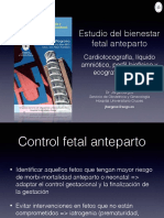 3.Pruebas Bienestar Fetal Anteparto Bilbao 2015
