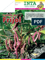 Guia Frijol Inta PDF