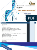 TERMINACION Y MANTENIMIENTO DE POZOS: Aparejo de Producción