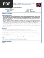 Artes Visuales 1 Unidad Tercero Basico