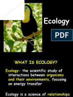 ecology good
