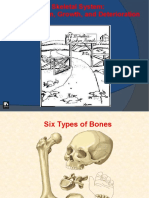 1.3 - Growth Plates and Bone Formation