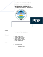 LEY-DE-ELECCIONES-MUNICIPALES (1).docx