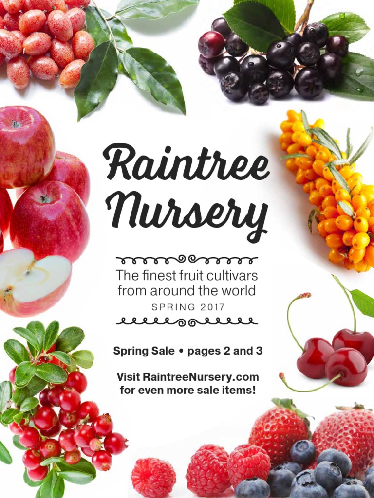 2017 Raintree Nursery Catalog Spring | Blueberry | Berry