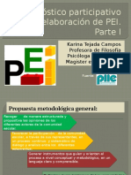 3 Diagnóstico Participativo PEI Parte I