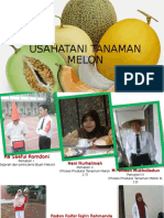 USAHATANI MELON SECARA BERKELANJUTAN