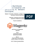 Informe MAGENTO