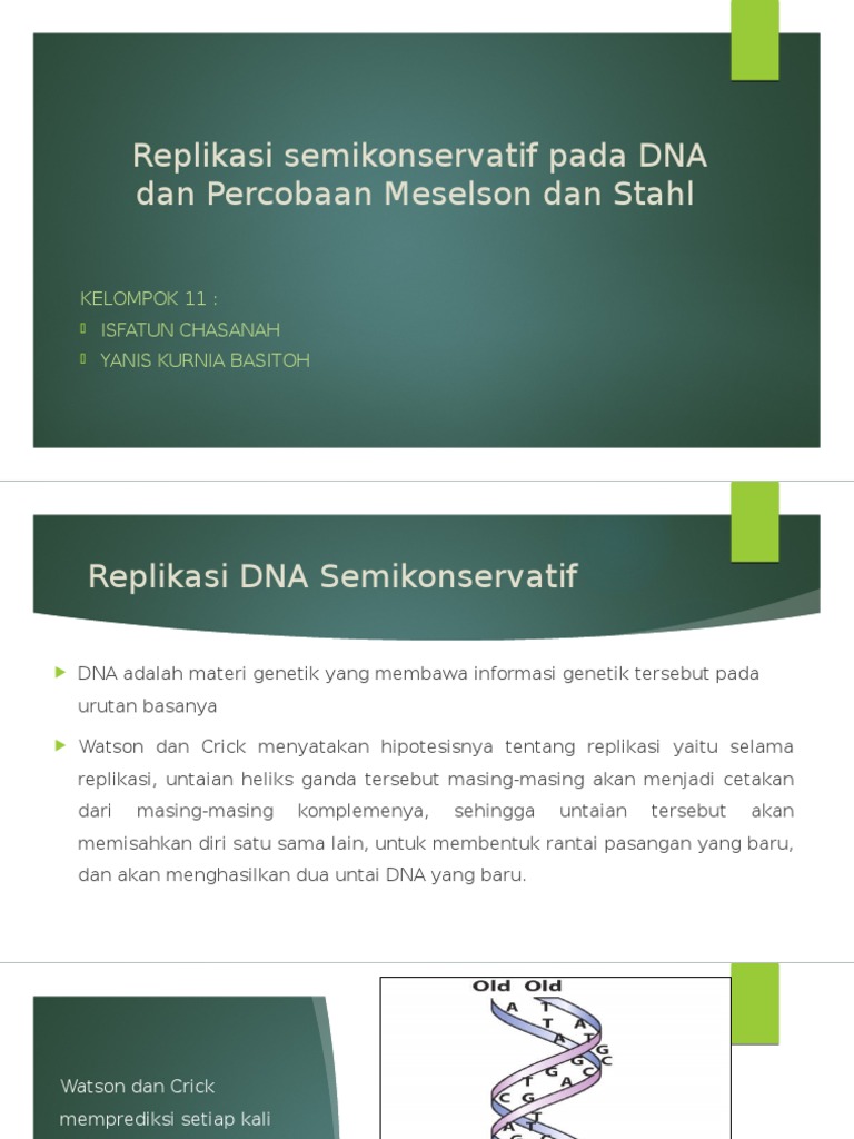 Replikasi DNA Semikonservatif | PDF
