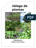 Catálogo de Plantas