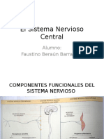 El Sistema Nervioso Central