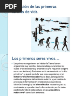 3. Evolución de Las Primeras Formas de Vida
