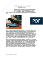 Physical Therapy in Canine Rehabilitation