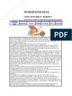 Neuropatologias en Pequenas Especies