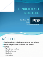 nucleo-nucleolo.ppt