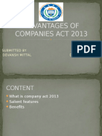 Advantages of Companies Act 2013