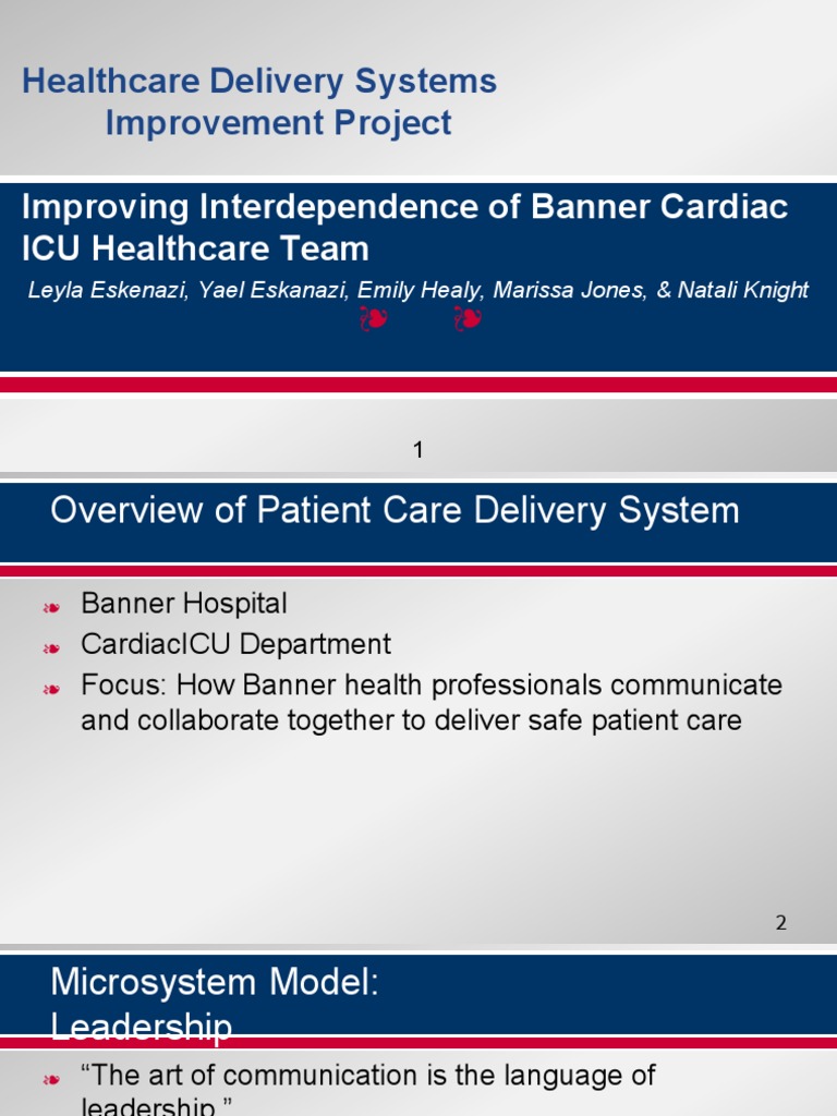 Qip Dream Team Project Nursing Health Care