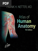 Download Atlas of Human Anatomy 4th ed by Frank H Netterpdf by erdicgeorge SN347005739 doc pdf