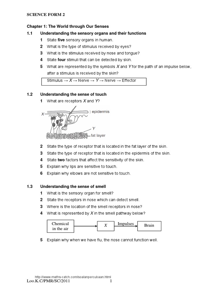 Science Form 2 (Q&a) PDF | PDF | Senses | Force