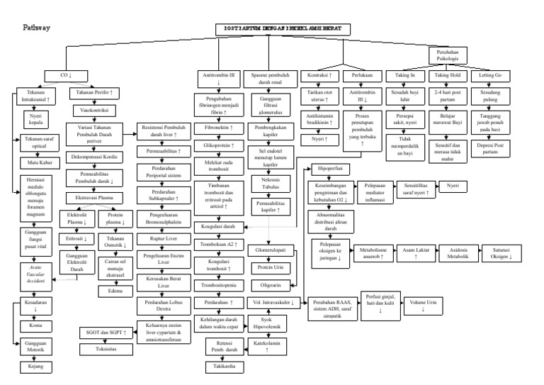 Pathway Post Partum Preeklampsia Berat | PDF