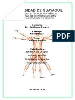 Columna Lumbar