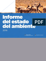 Estado Del Medio Ambiente - Informe