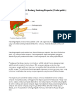 Informasi Penyakit Radang Kantong Empedu (Cholecystitis).docx